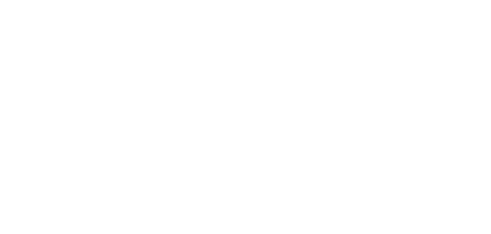 ceo (1)